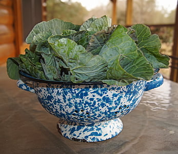 green vegetables on blue and white steel bowl thumbnail