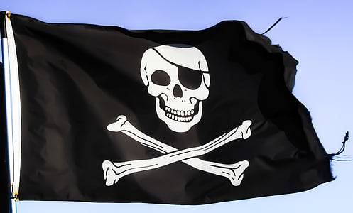 closeup photo of black and white pirate flag thumbnail