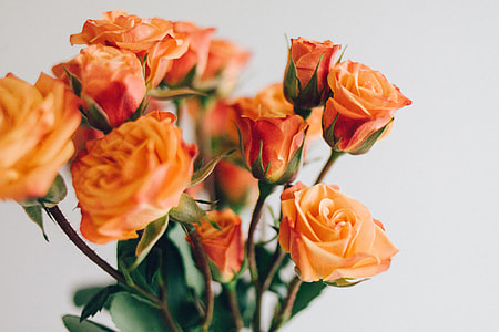 orange flower bouquet thumbnail