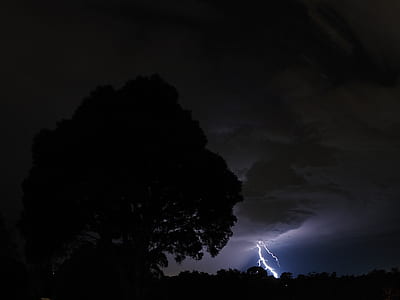 silhouette tree photo during nighttime thumbnail