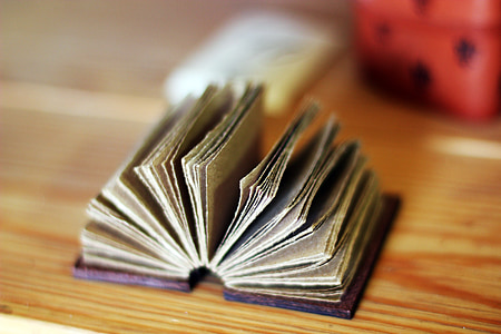 brown book thumbnail