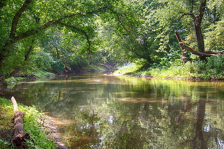 calm water between green forest dyring day time thumbnail