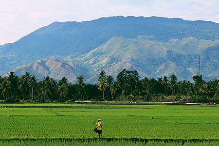 person standing on green grass field facing mountains thumbnail