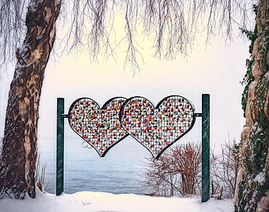 Heart Shape on Tree thumbnail