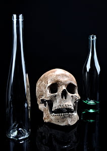 beige skull and two clear glass bottles thumbnail