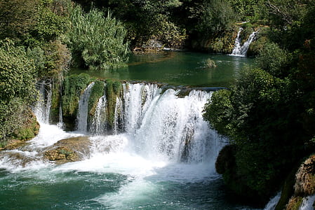 landscape photography of waterfalls at forest thumbnail