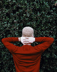 man wearing red crew-neck sweater put his hands of the back of his neck facing green leaf plant during daytime thumbnail