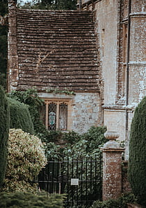 concrete house with topiaries on garden thumbnail