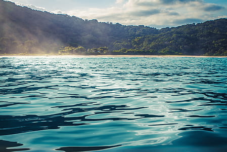 calm sea with white sand and green leaf plants background thumbnail