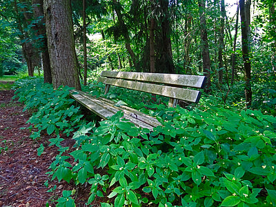 brown wooden bench beside green plants at daytime thumbnail
