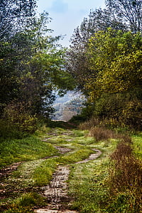 green trees and green trees thumbnail