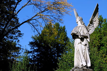 low angle photograph of female angel statue thumbnail