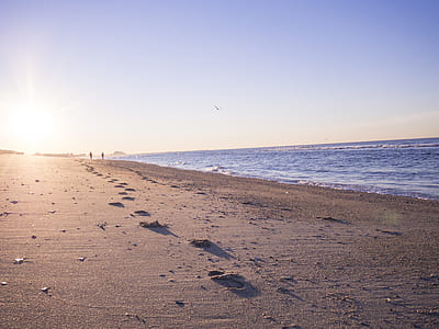 footprints in the sands thumbnail
