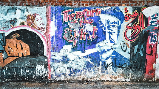 assorted-color wall graffiti thumbnail