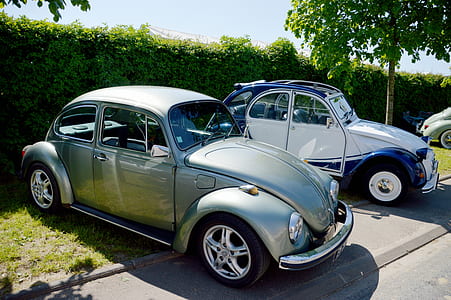 two silver and white Volkswagen Beetle hatchbacks thumbnail