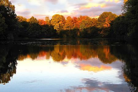 body of water surrounded by trees thumbnail