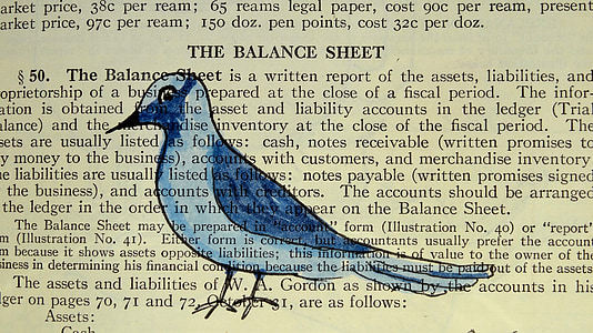 The Balance Sheet text thumbnail
