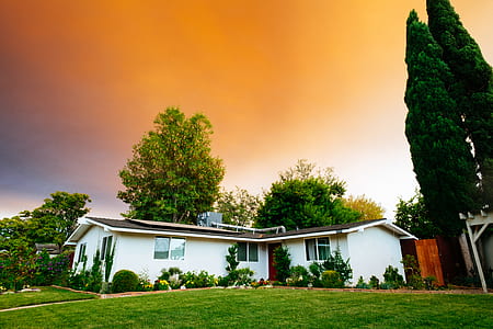 house, sky, tree, structure, grass, building thumbnail