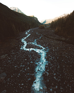 canal between tall trees thumbnail