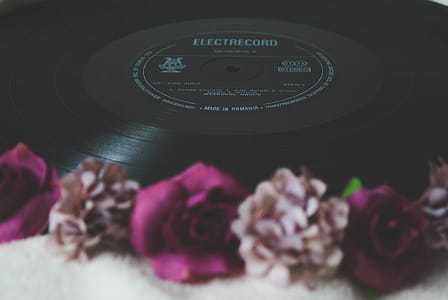 Floral Electrocord Vinyl Record Decor thumbnail