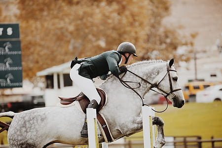 Person Riding Horse thumbnail