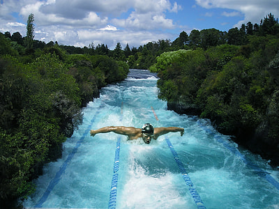 man swimming between trees thumbnail