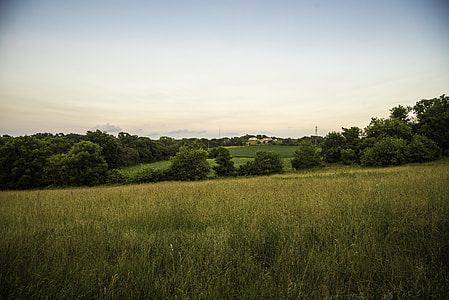 Grassland, landscape, and homestead at Cross Plains State Park thumbnail