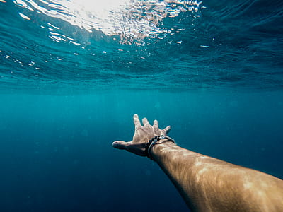 underwater photography of person's hand thumbnail