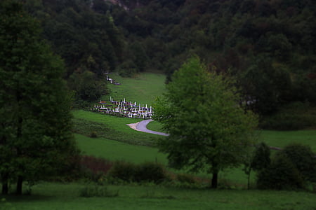 city next to forest thumbnail