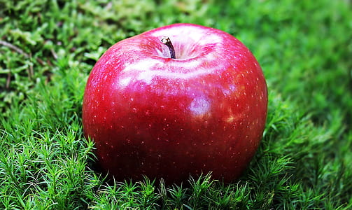red apple on grass field thumbnail