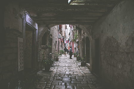 Photography of Alley thumbnail