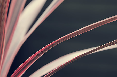 abstract painting thumbnail