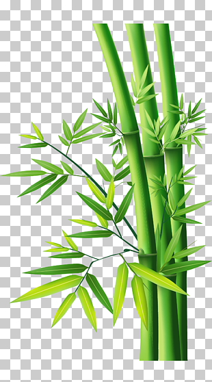 Bamboo, Bamboo Bamboo, green bamboo tree illustration PNG clipart