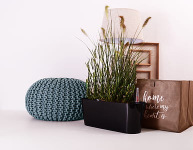three assorted-color pots on white surface thumbnail