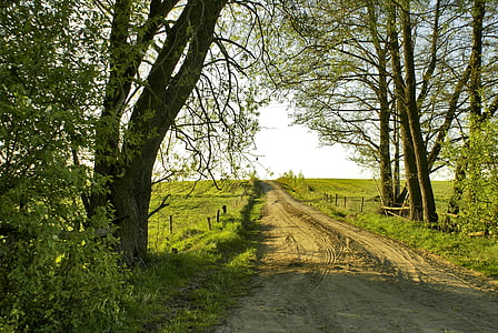 pathway between green grass field thumbnail