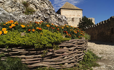 flower plant surround by wooden fence thumbnail
