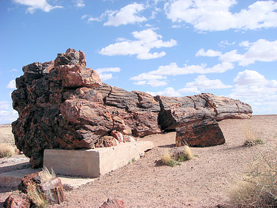 Petrified Forest National Park thumbnail