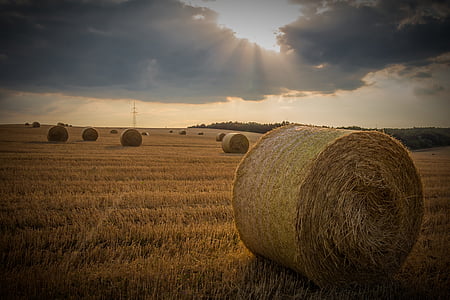 round bale thumbnail