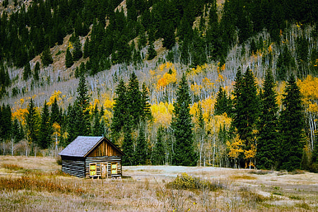 brown wooden house near green leaf trees during daytime thumbnail