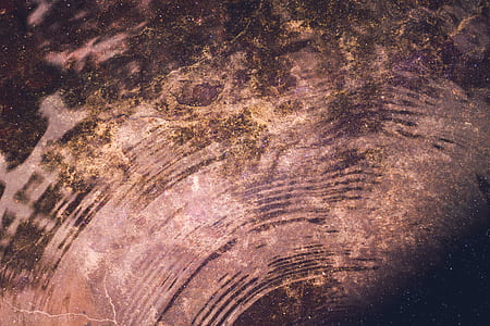 photo of brown surface thumbnail