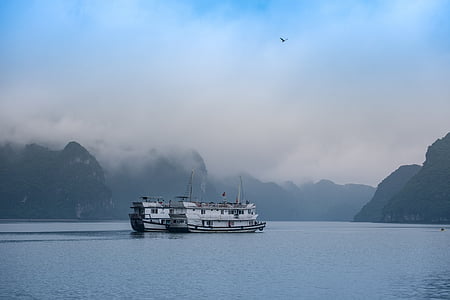 white cruise ship in body of water thumbnail
