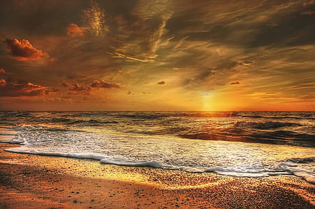 seashore during sunset thumbnail