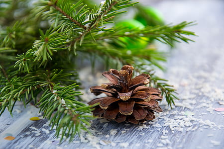 Brown Pine Cone With Pine Tree Leaves Shallow Focus Photography thumbnail