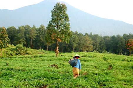 person wearing blue long-sleeved shirt and brown bottoms thumbnail