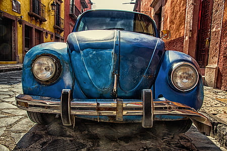 blue Volkswagen Beetle on side of road thumbnail