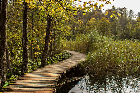 brown wooden bridge thumbnail