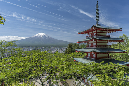 high view of temple surrounded of green trees thumbnail