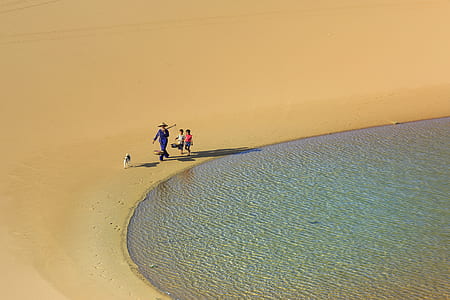 person and two children walking on seashore thumbnail