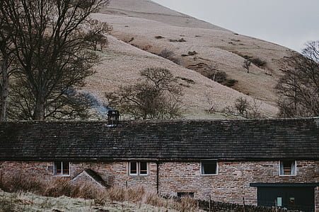 house near trees and mountain thumbnail