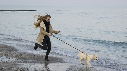 woman holding dog's leash near seashore thumbnail